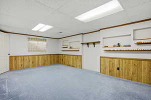 Finished basement with wood walls, carpet floors, ornamental molding, wainscoting, and a paneled ceiling