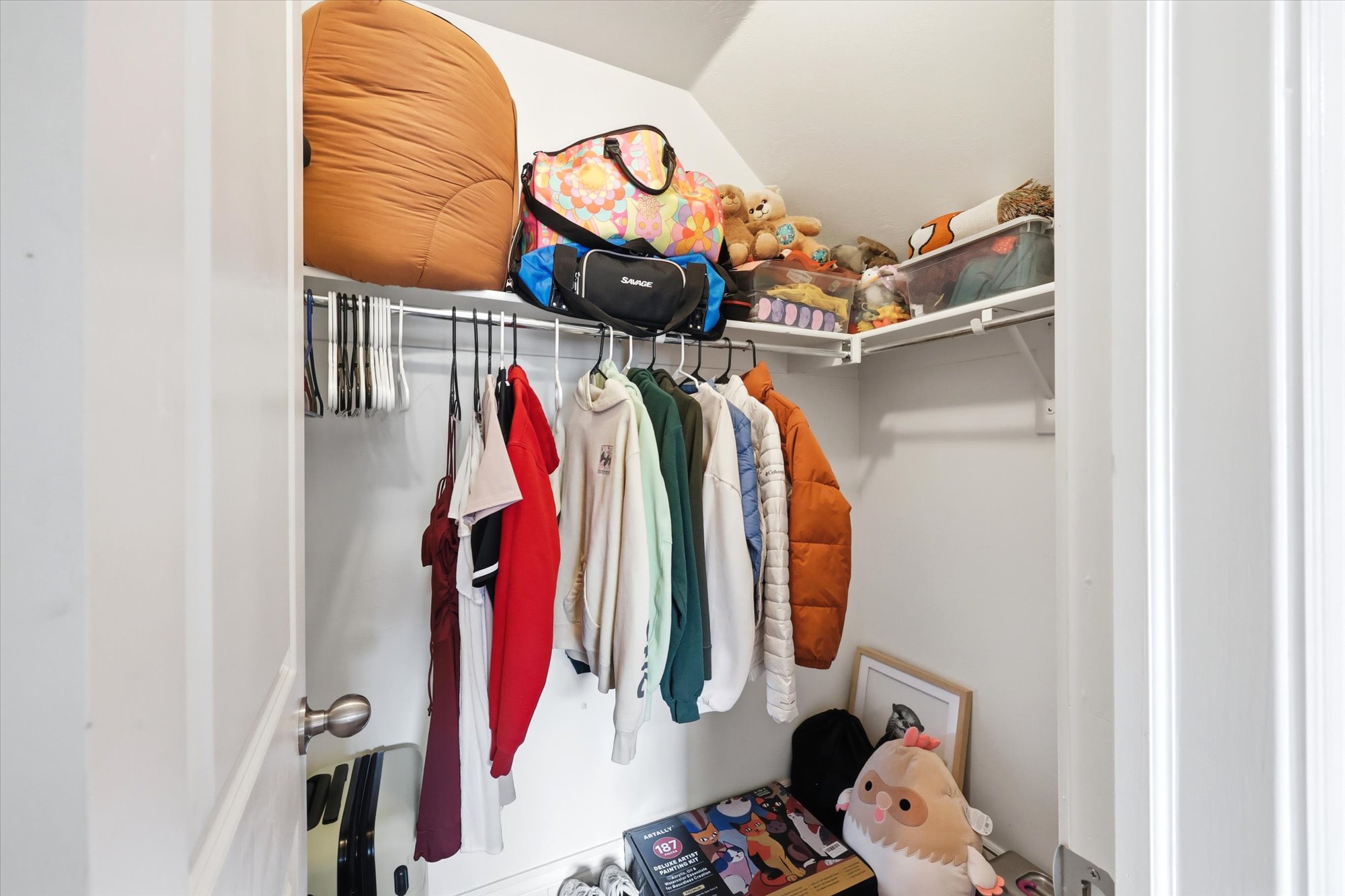 Walk in closet featuring lofted ceiling