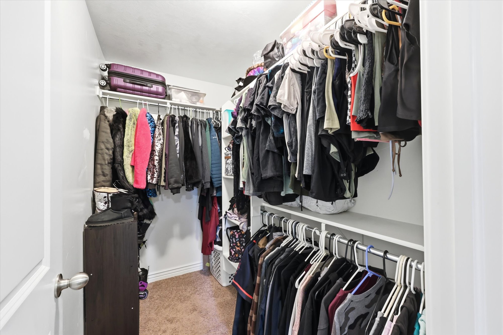 Walk in closet featuring light colored carpet