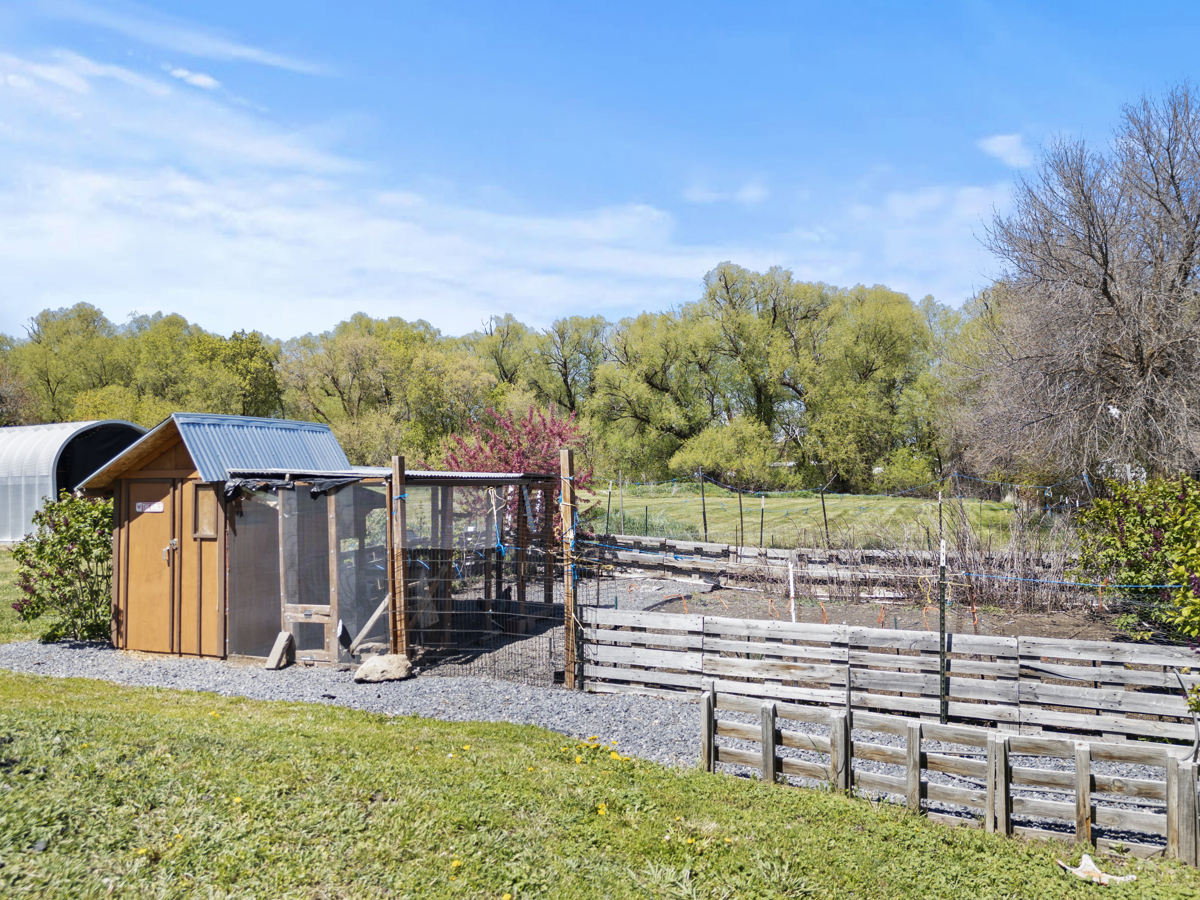 View of yard with exterior structure and an outbuilding