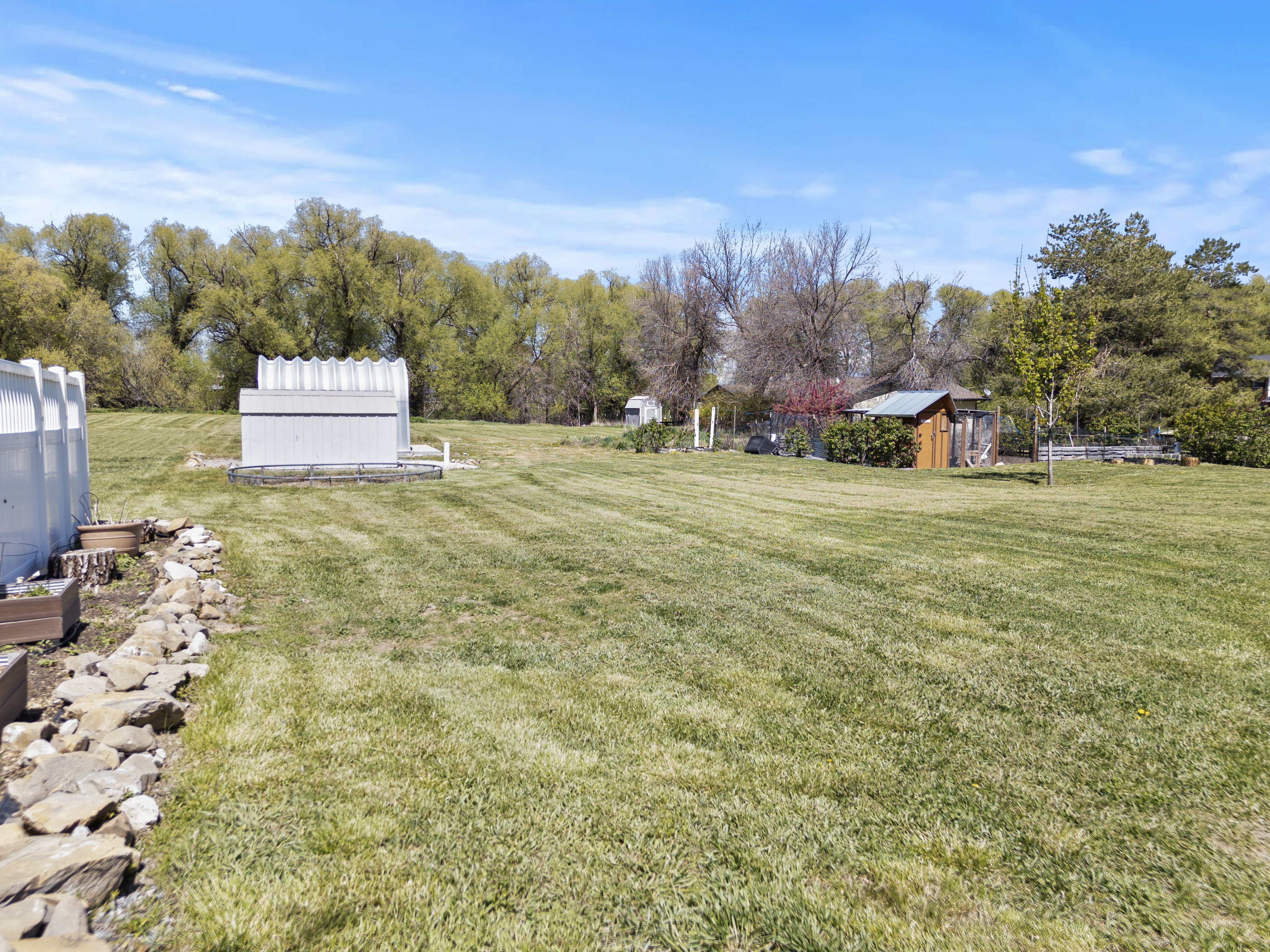 View of grassy yard with a storage shed