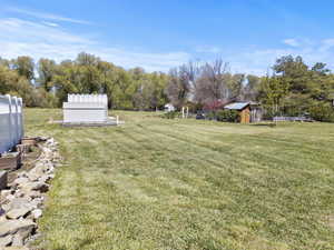View of grassy yard with a storage shed