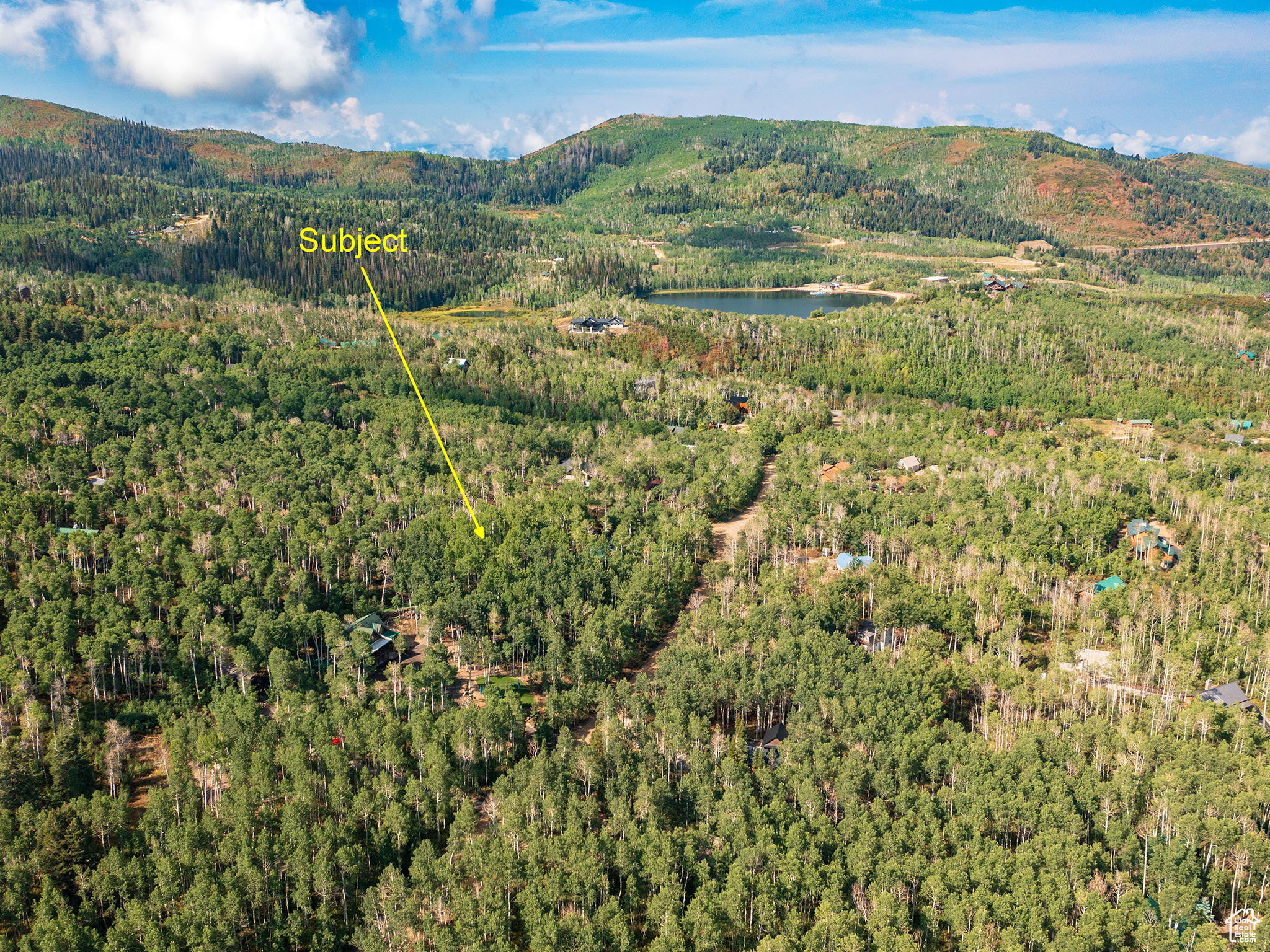 Aerial view of a forest and a water and mountain view