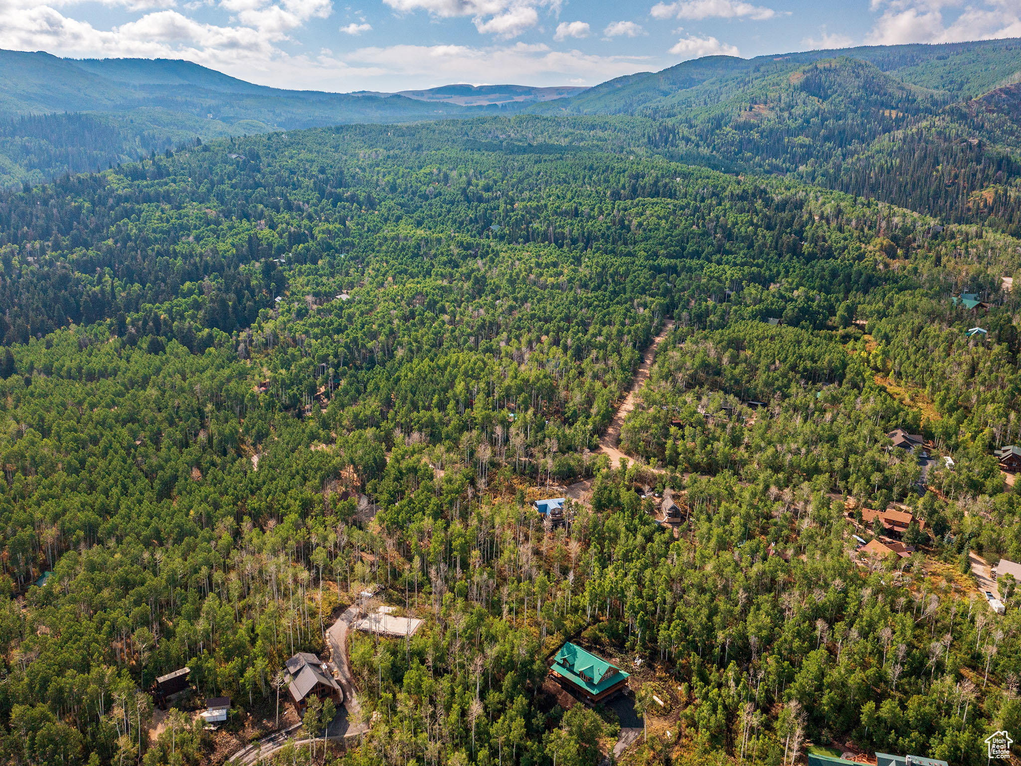 Aerial view of mountains and a heavily wooded area