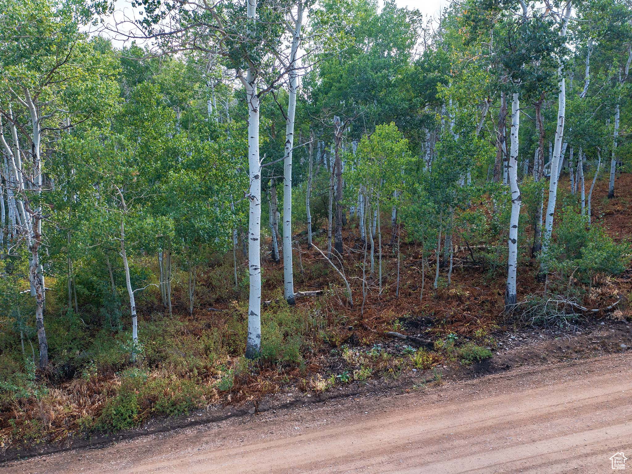 View of undeveloped land