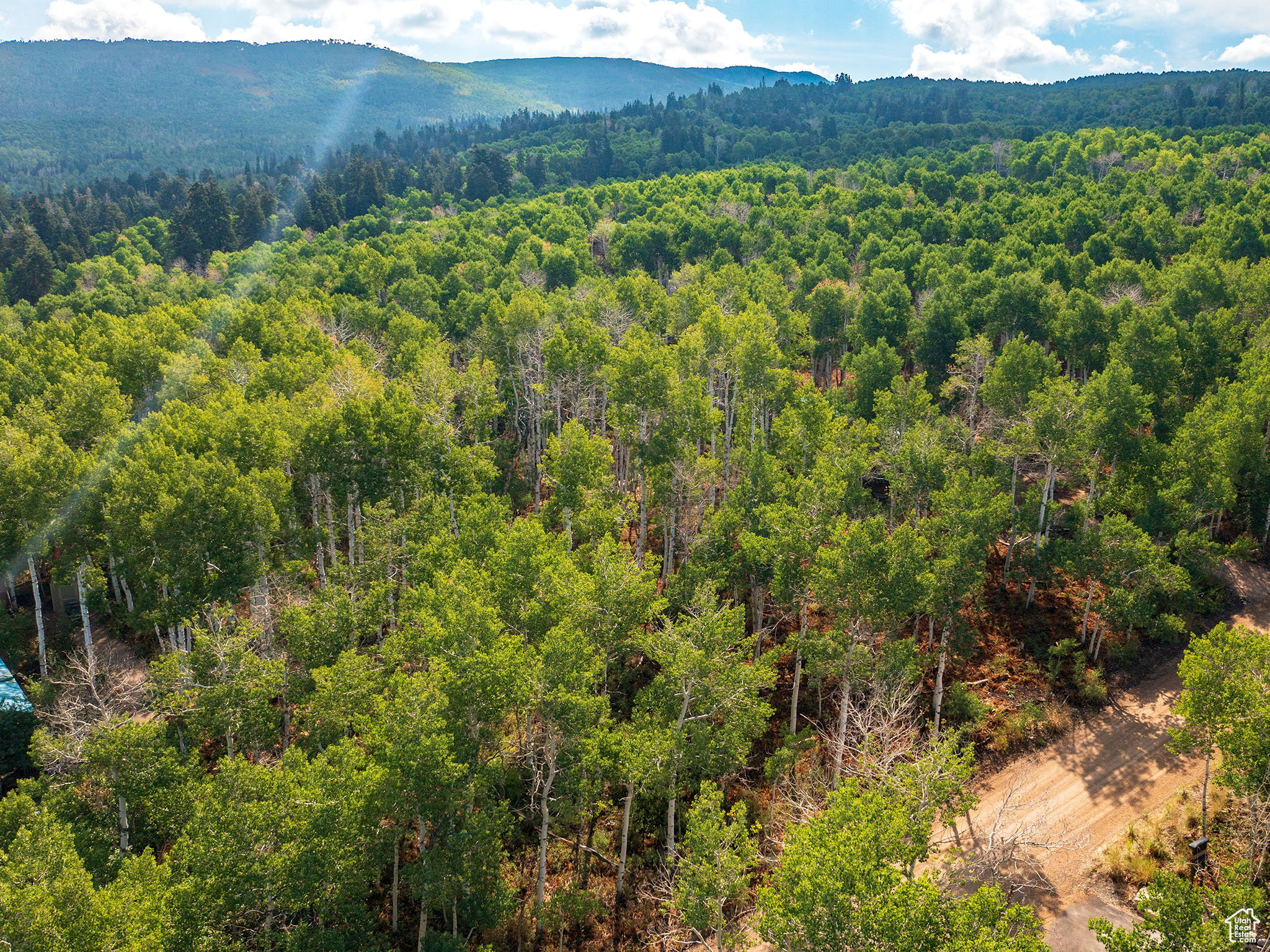 Drone / aerial view of a mountainous background and a forest