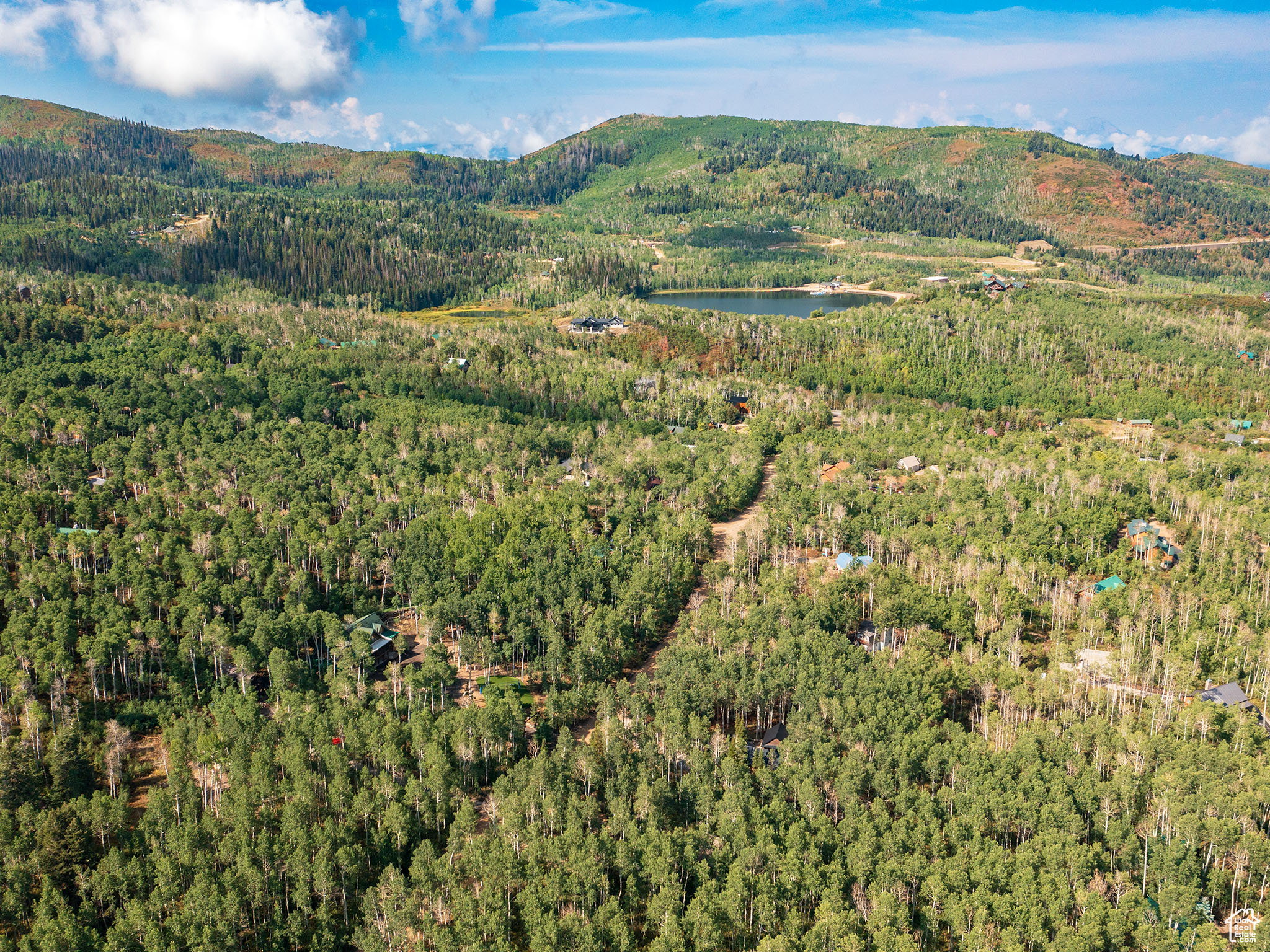 View of mountain backdrop with a forest and a large body of water