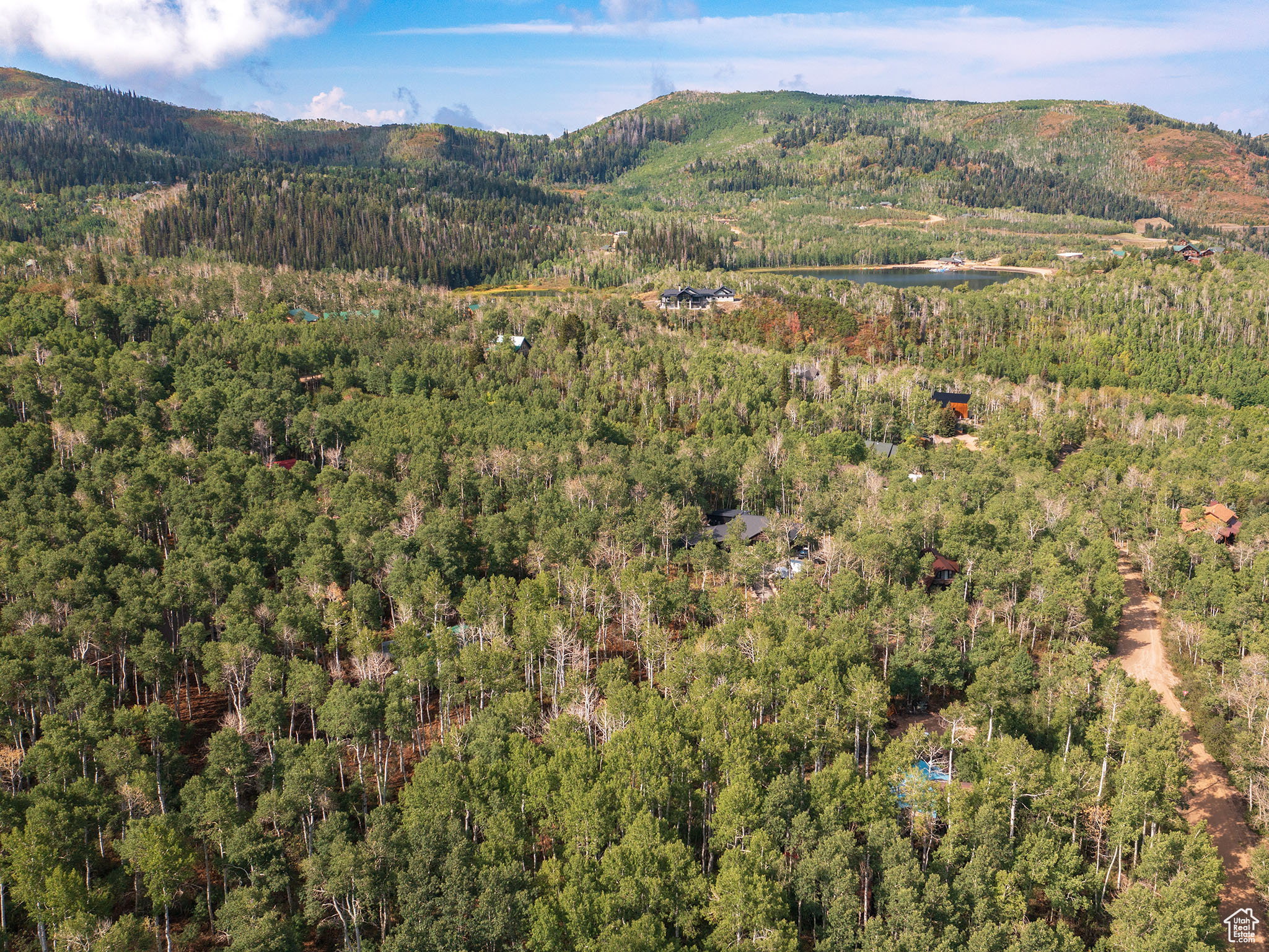 View of mountain background featuring a heavily wooded area and a nearby body of water