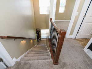 Stairs featuring carpet and baseboards