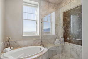 Full bathroom with a stall shower and a bath