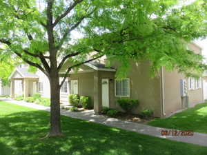View of front of home featuring a front yard and stucco siding