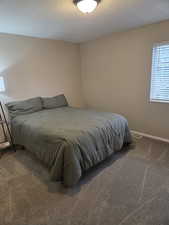 Primary Bedroom featuring carpet flooring and a textured ceiling
