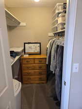Primary walk-in closet featuring carpet