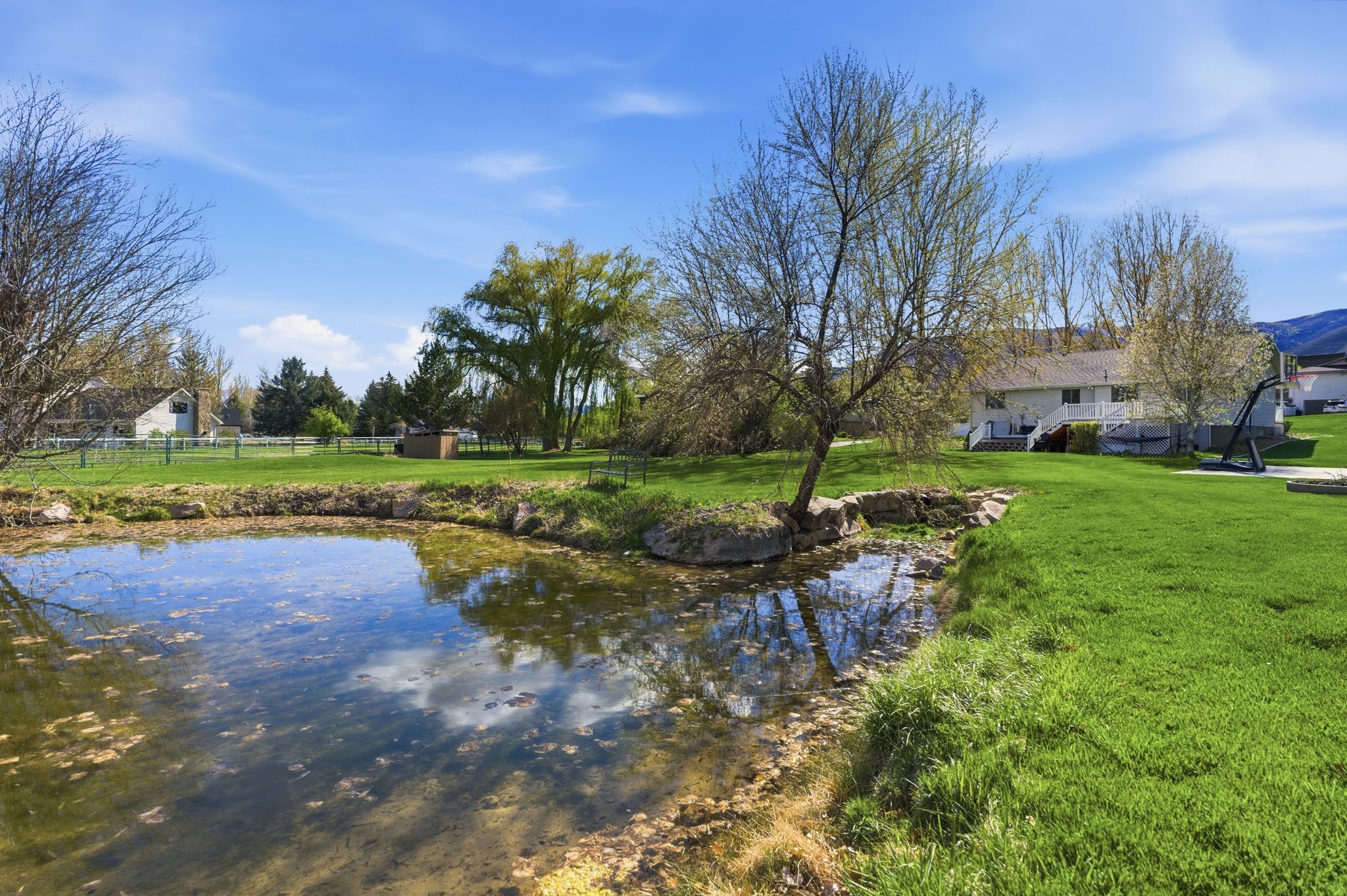 Pond towards house