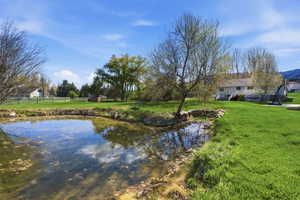 Pond towards house
