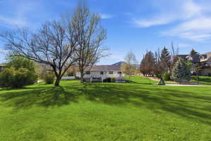 View of green lawn-so many possibilities