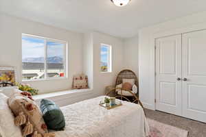 Carpeted bedroom with a closet and a mountain view