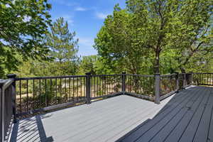 View of wooden deck