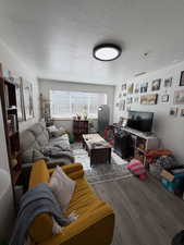 Living room featuring wood finished floors and a textured ceiling
