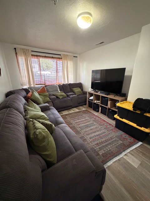 Living room featuring wood finished floors and a textured ceiling