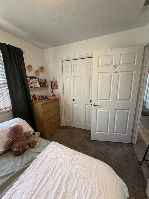 Bedroom featuring multiple windows, dark carpet, and a closet