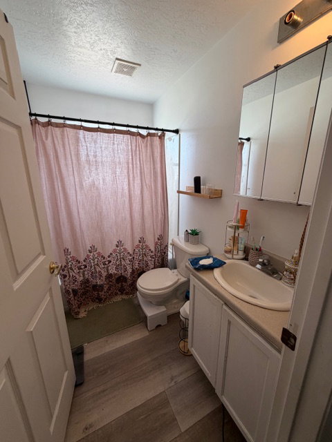 Full bathroom featuring vanity, dark wood-style floors, a textured ceiling, and a shower with curtain