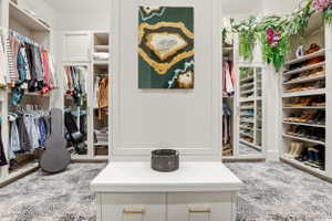 Walk in closet with light colored carpet