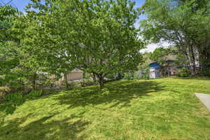 View of fenced backyard