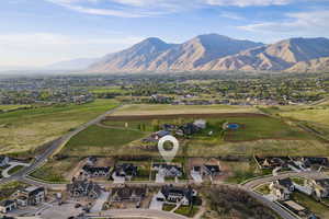 Aerial view of residential area with a mountain backdrop