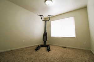 3rd Bedroom featuring carpet