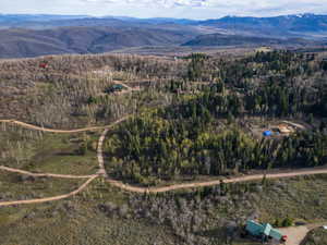 Drone / aerial view of a mountainous background and a heavily wooded area
