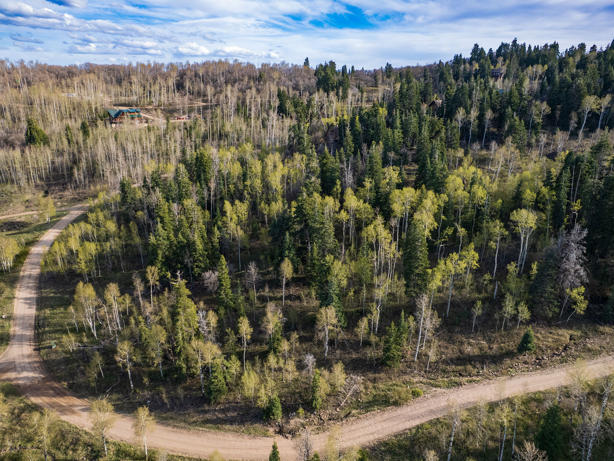 Aerial view of a heavily wooded area