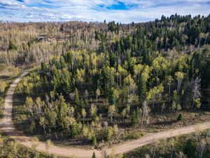 Aerial view of a heavily wooded area