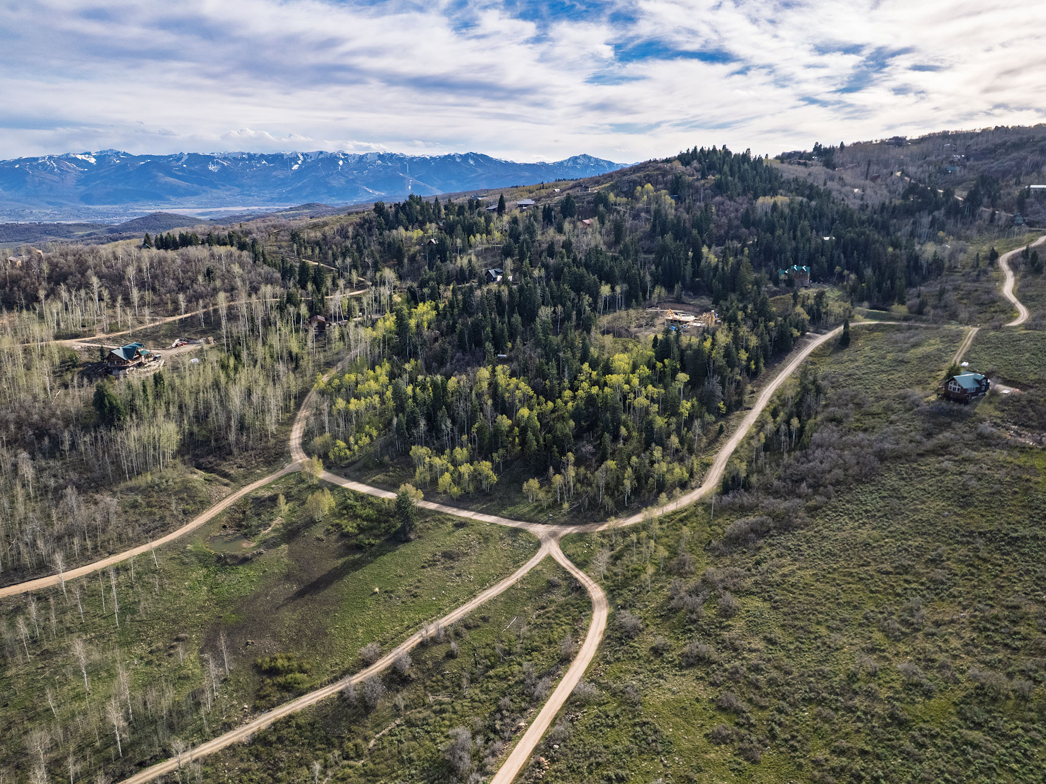 Bird's eye view of a forest and a mountainous background