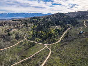 Bird's eye view of a forest and a mountainous background