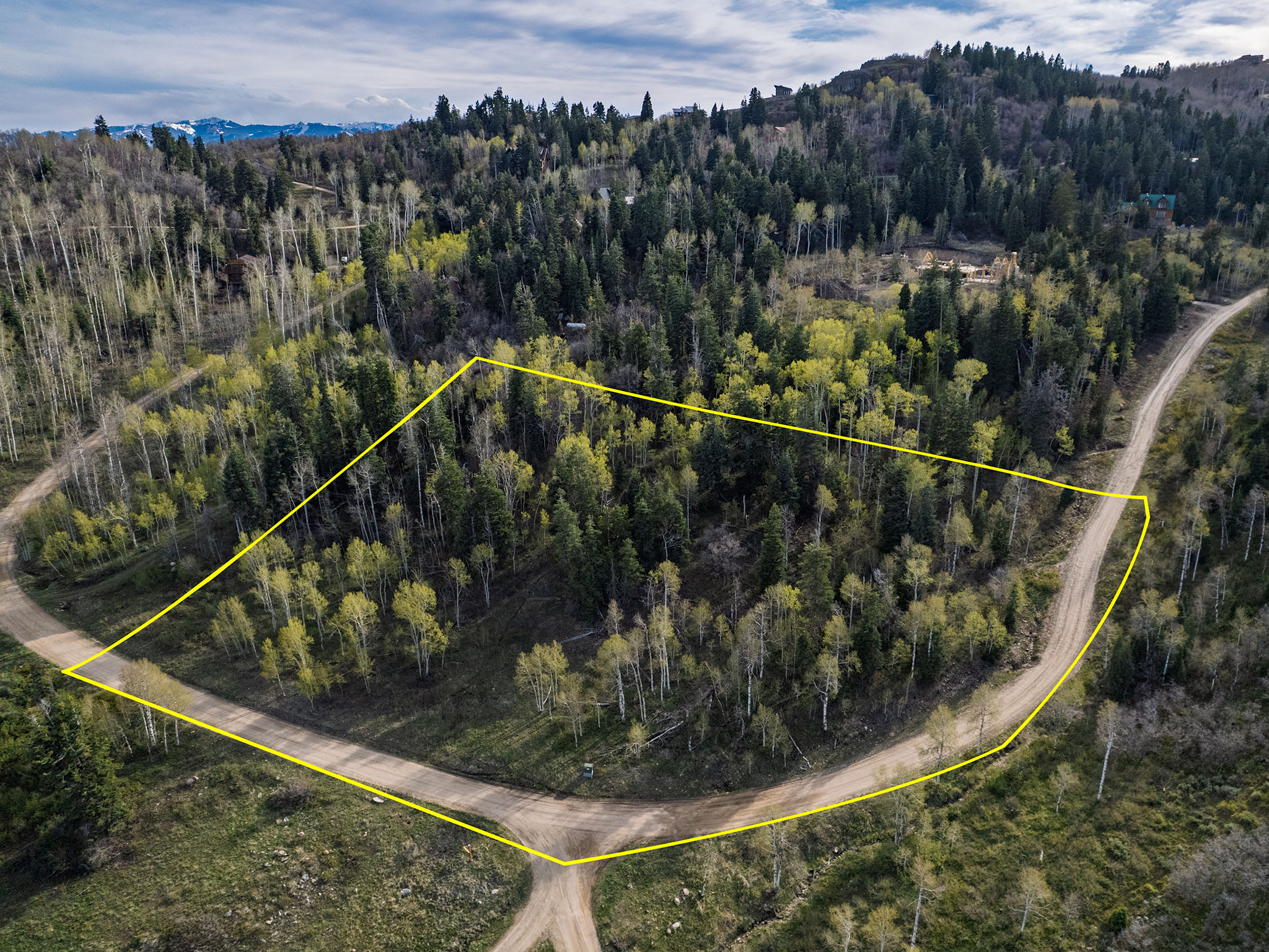 Aerial overview of property's location with a heavily wooded area and property boundaries highlighted