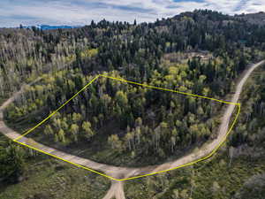 Aerial overview of property's location with a heavily wooded area and property boundaries highlighted