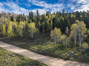 View of nature