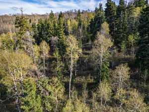 View of wooded area