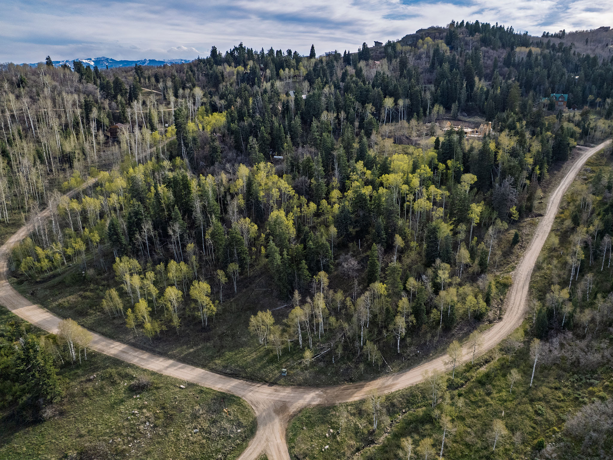 Bird's eye view of a heavily wooded area