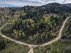 Bird's eye view of a heavily wooded area