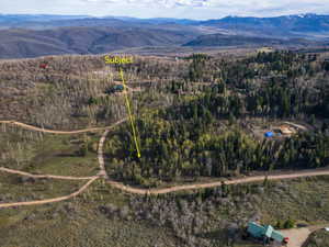 Drone / aerial view of mountains and a forest