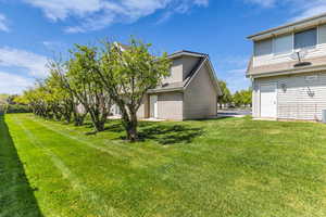 View of grassy yard