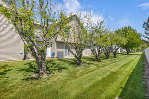 View of grassy yard