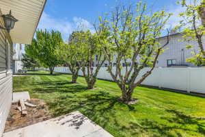 View of fenced backyard