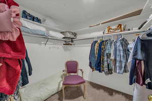 Walk in closet with carpet floors