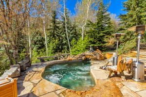 View of swimming pool featuring a jacuzzi, patio surround, and view of wooded area