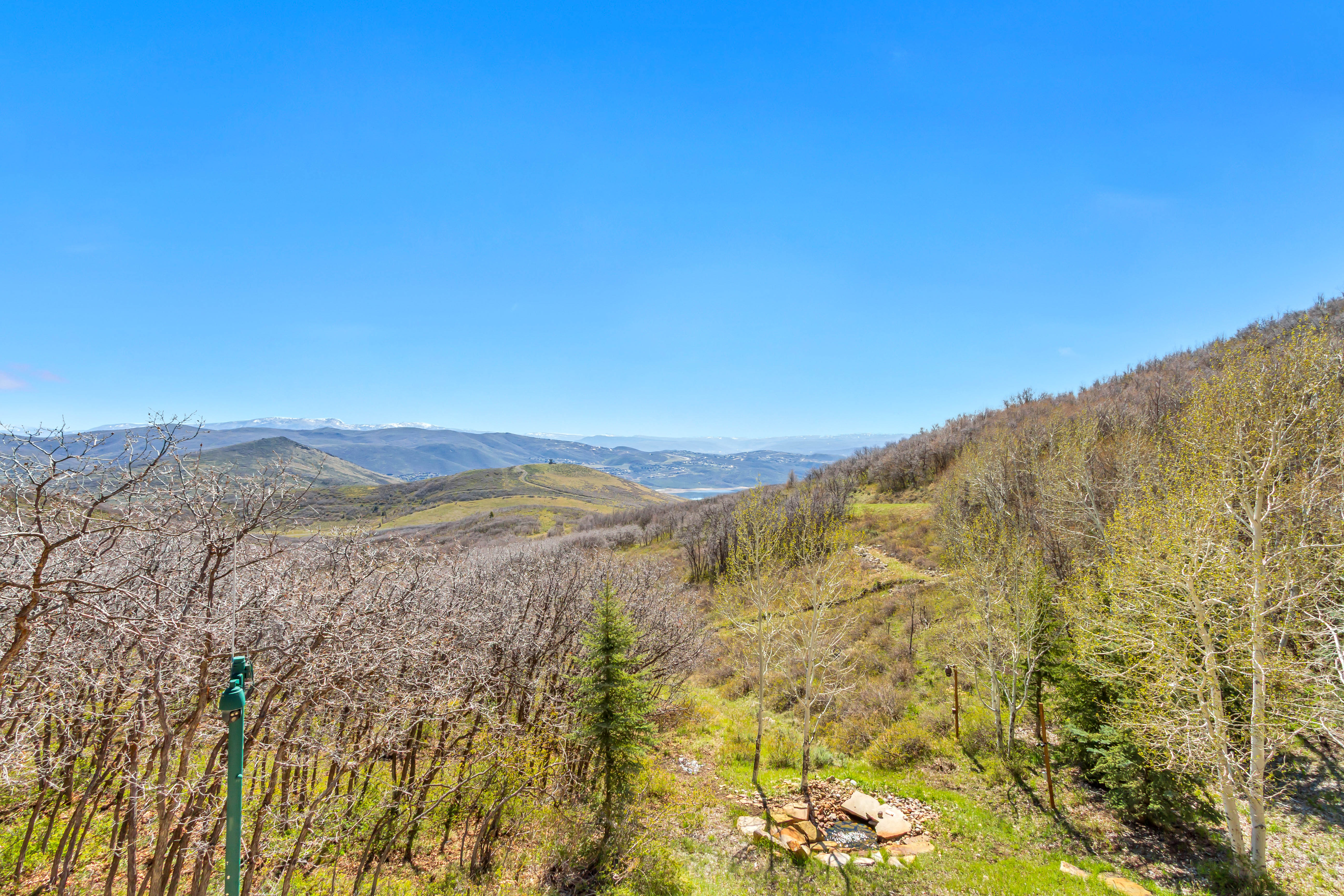 View of mountain backdrop with a heavily wooded area