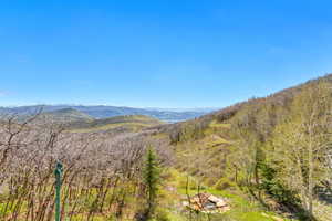 View of mountain backdrop with a heavily wooded area