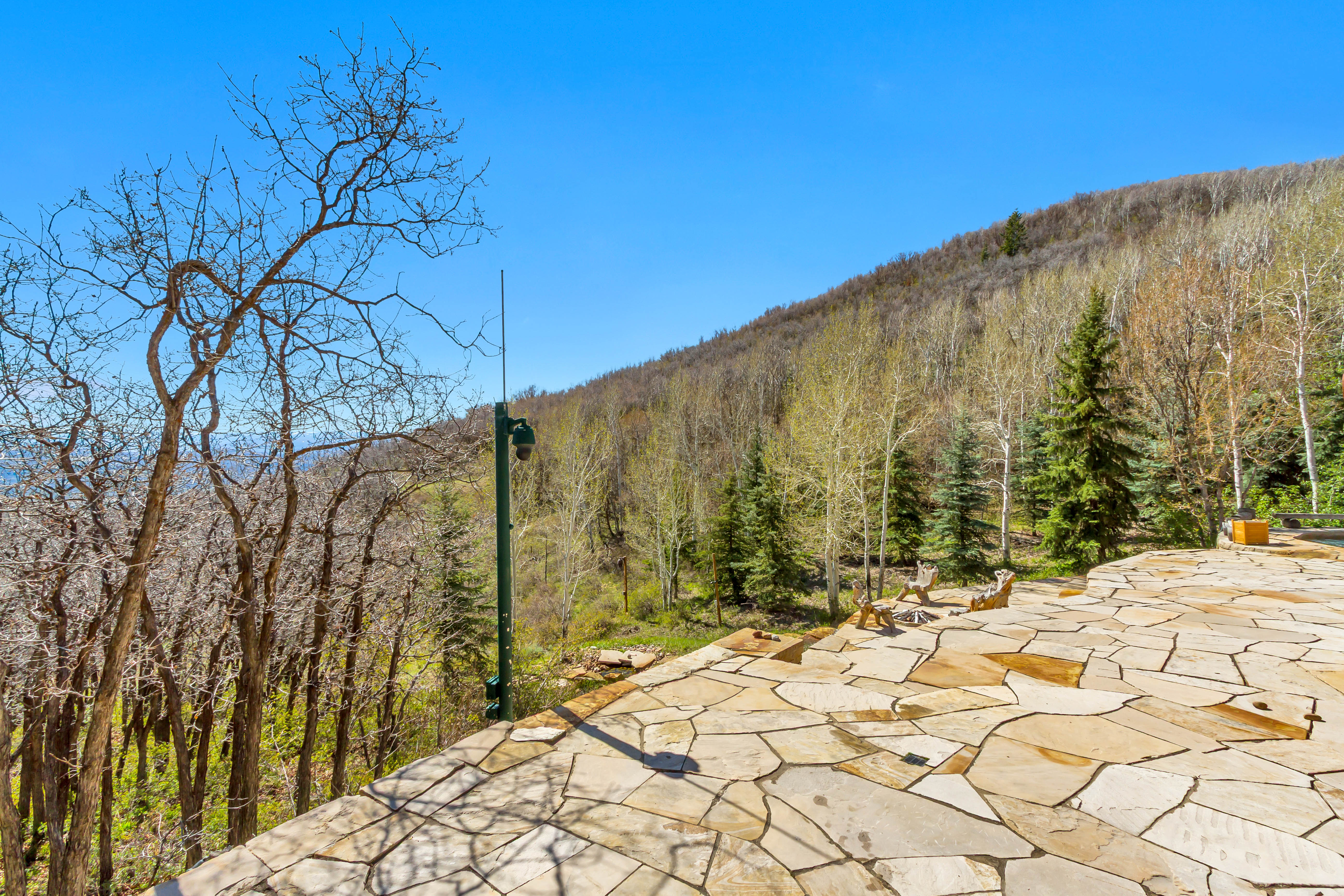 View of mountain backdrop featuring a forest